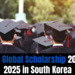 SNU Global Scholarship 2024-2025 in South Korea | Full-funded Scholarship 2024