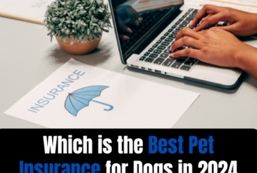 Which is the Best Pet Insurance for Dogs in 2024