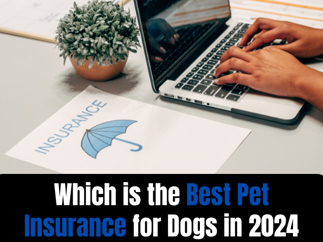 Which is the Best Pet Insurance for Dogs in 2024