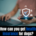 How can you get health insurance for dogs?