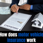 How does motor vehicle insurance work