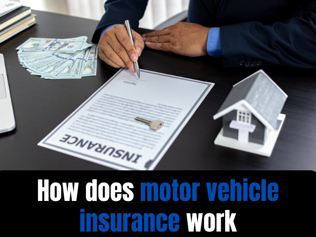 How does motor vehicle insurance work