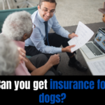 Can you get insurance for dogs?