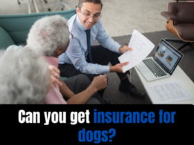 Can you get insurance for dogs?