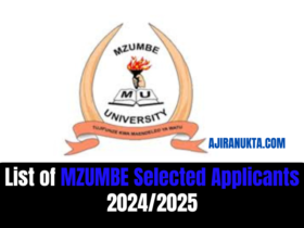 List of Mzumbe University (MU) Selected Applicants 2024/25