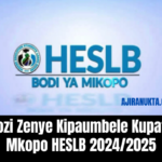 Kozi Zenye Kipaumbele Kupata Mkopo HESLB 2024/2025 – Bachelor Degree 2024