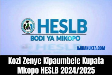 Kozi Zenye Kipaumbele Kupata Mkopo HESLB 2024/2025 – Bachelor Degree 2024